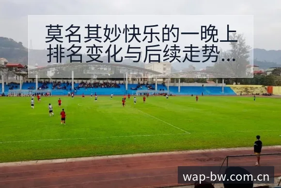 莫名其妙快乐的一晚上排名变化与后续走势赛程前瞻分析 - 宝威体育APP